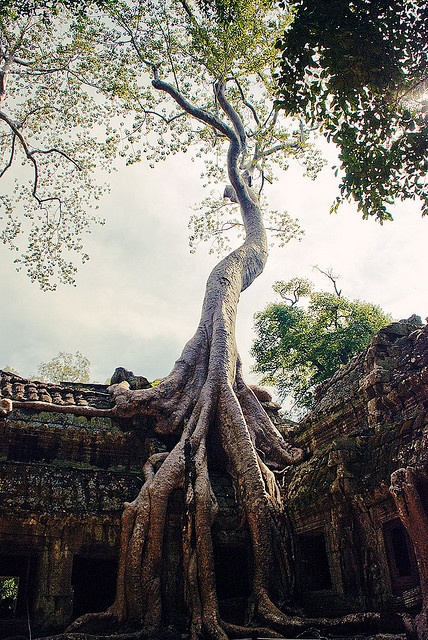 ea2fdd5f4517184dda62600053e70e3c