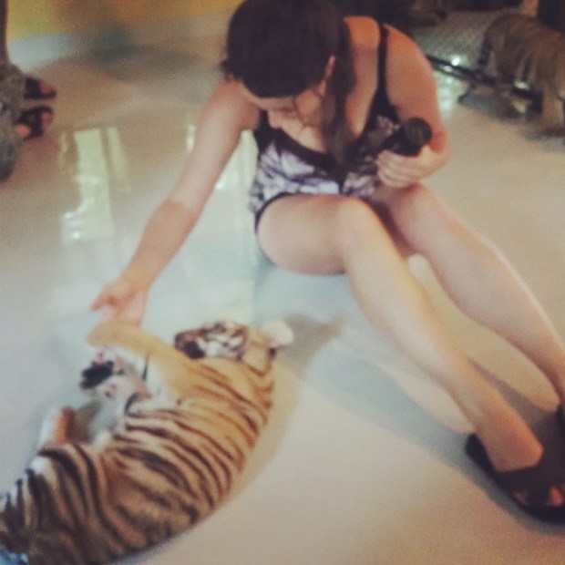 wp-1405912325945 image