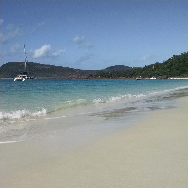 wp-1407922922088 image