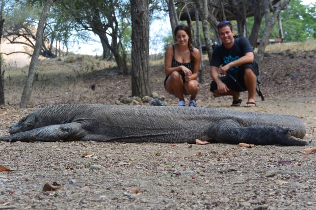 komodo national park