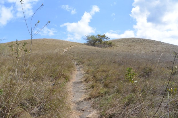 komodo national park
