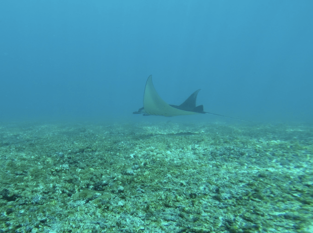 Screen Shot 2014-07-27 at 8.17.35 PM