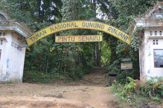 hiking mount rinjani
