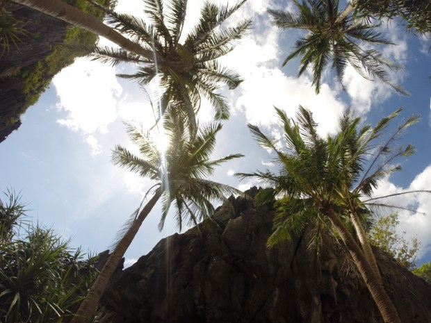 el nido island hopping