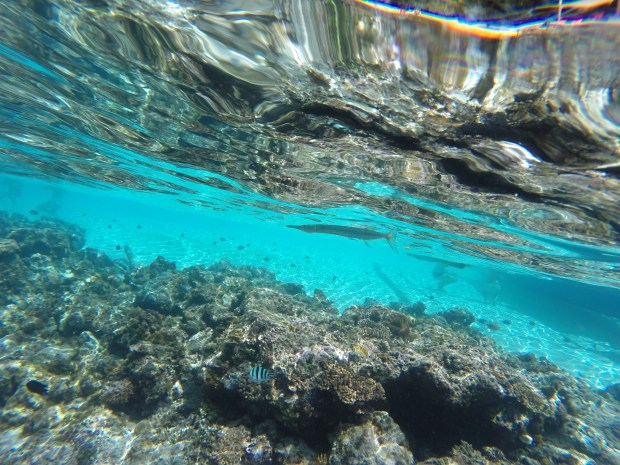 el nido island hopping