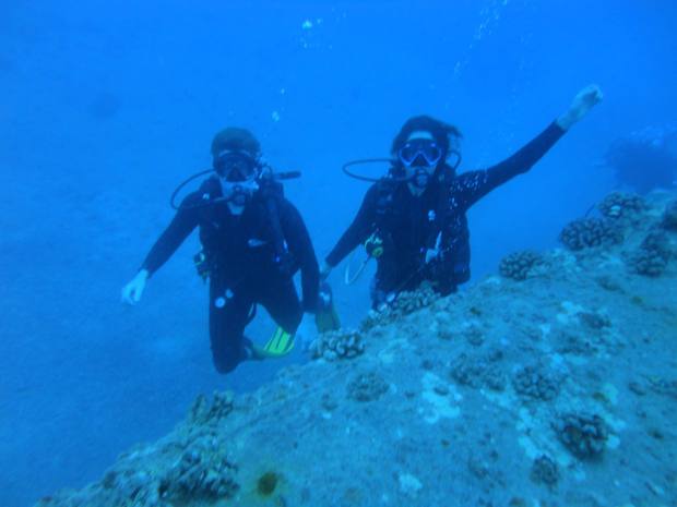 scuba diving hawaii