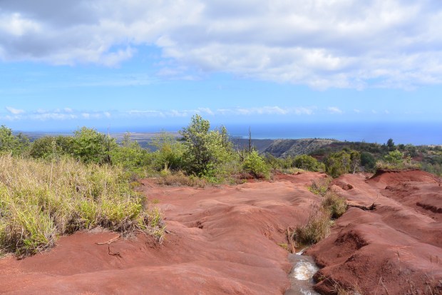 waimea canyon