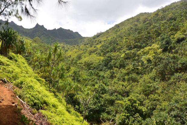 na pali coast kauai