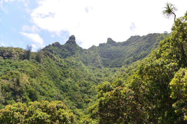na pali coast kauai