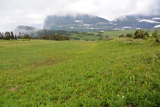 glacier national park