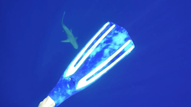 Screen Shot 2015-07-06 at 5.45.49 PM