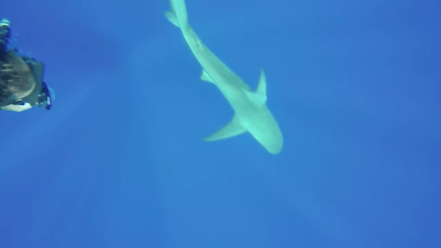 Screen Shot 2015-07-06 at 5.50.12 PM