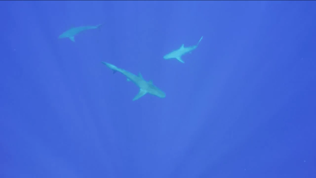 Screen Shot 2015-07-06 at 5.53.28 PM