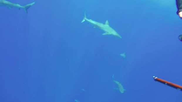 Screen Shot 2015-07-06 at 5.57.04 PM