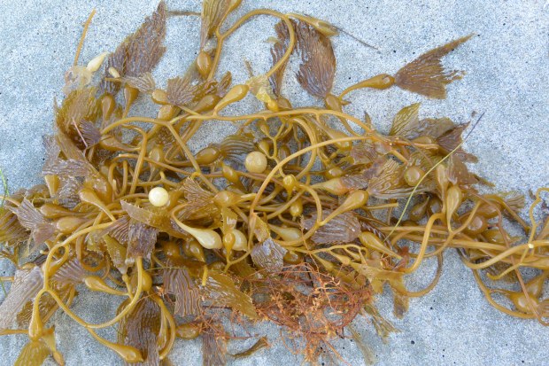 thousand steps beach