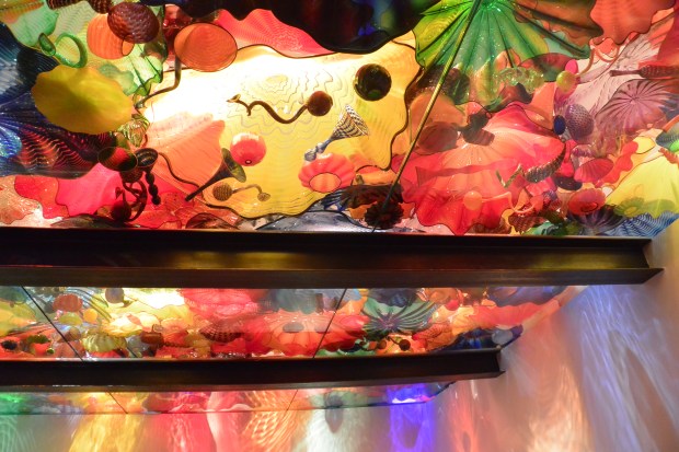 chuhily garden and glass