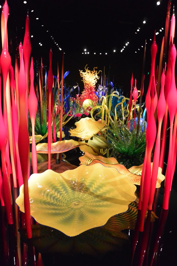 chuhily garden and glass