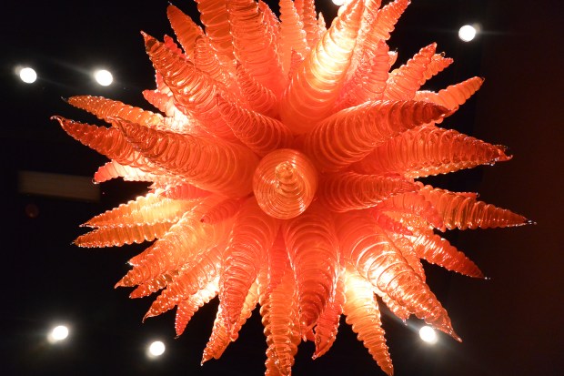 chuhily garden and glass