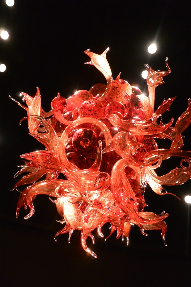 chuhily garden and glass