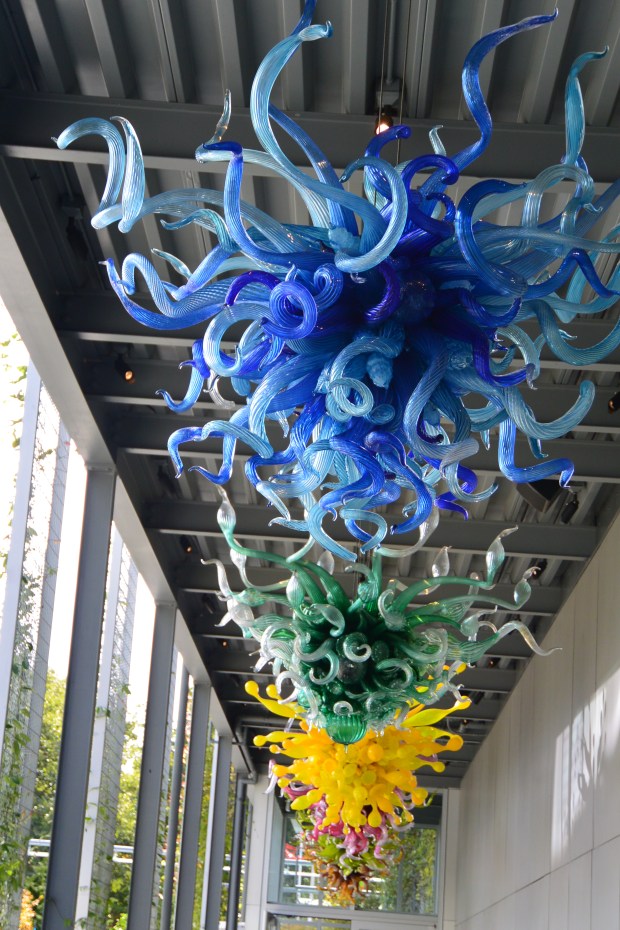 chuhily garden and glass