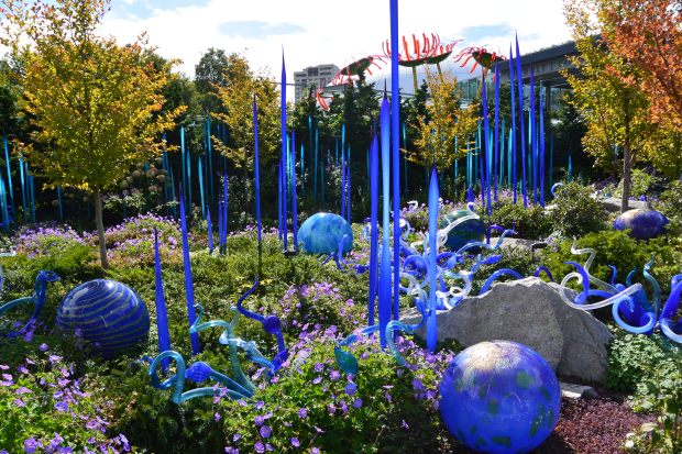 chuhily garden and glass