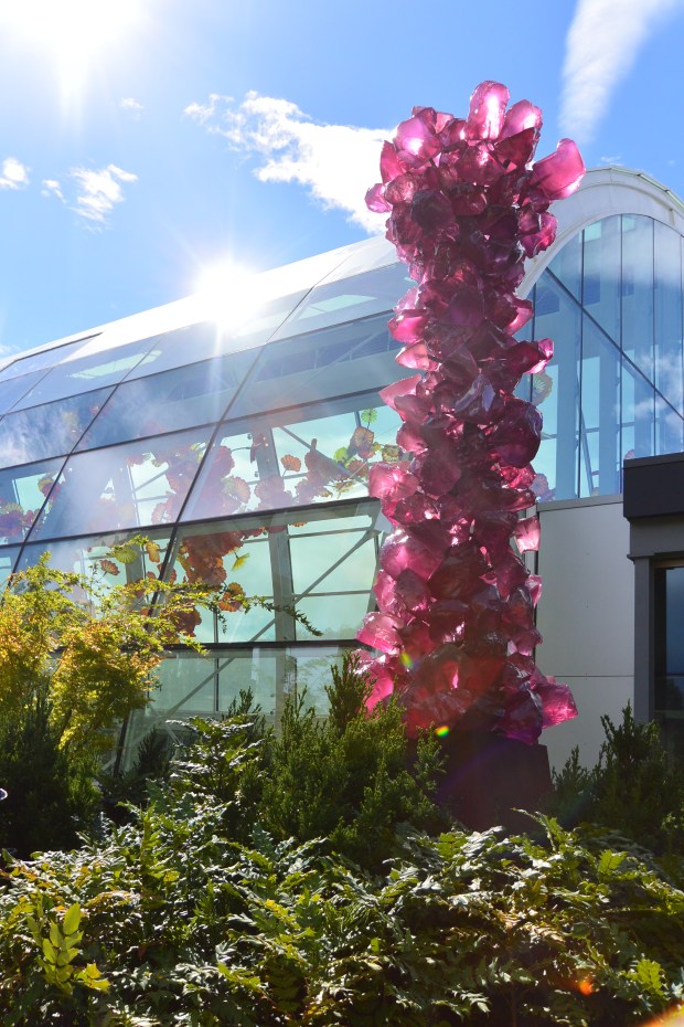 chuhily garden and glass