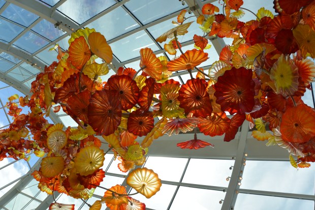 chuhily garden and glass