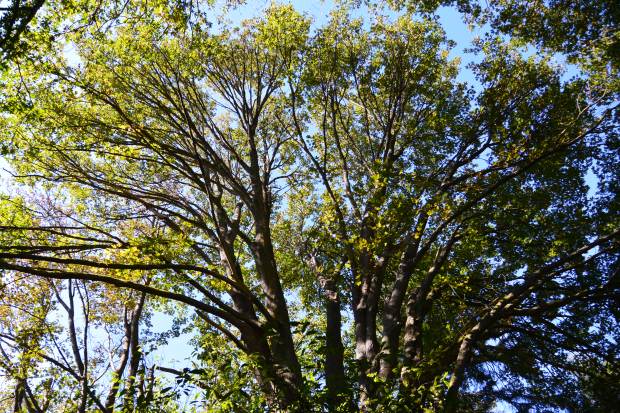 discovery park seattle