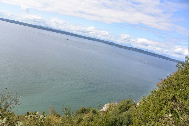 discovery park seattle