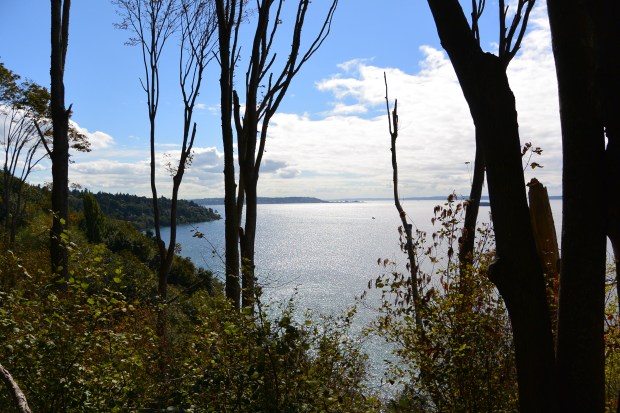 discovery park seattle