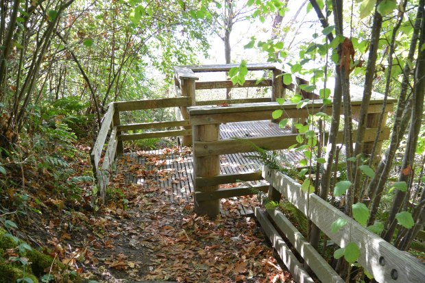 discovery park seattle