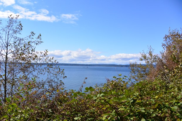 discovery park seattle