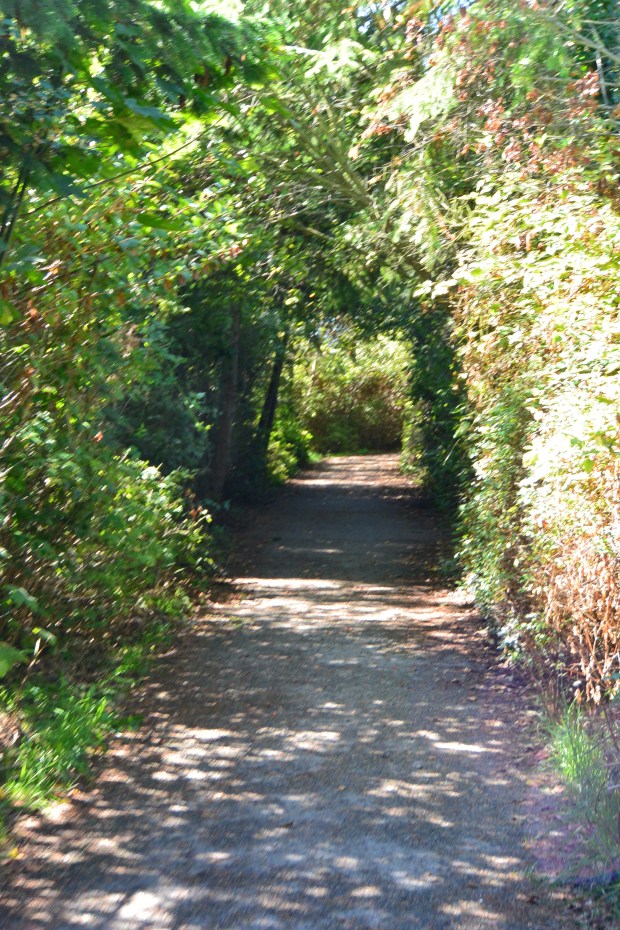 discovery park seattle