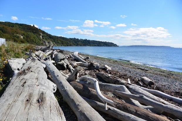 discovery park seattle