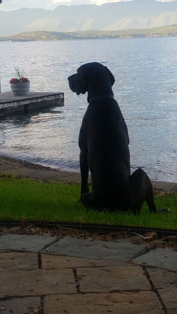 Snapchat-6816485550589803475