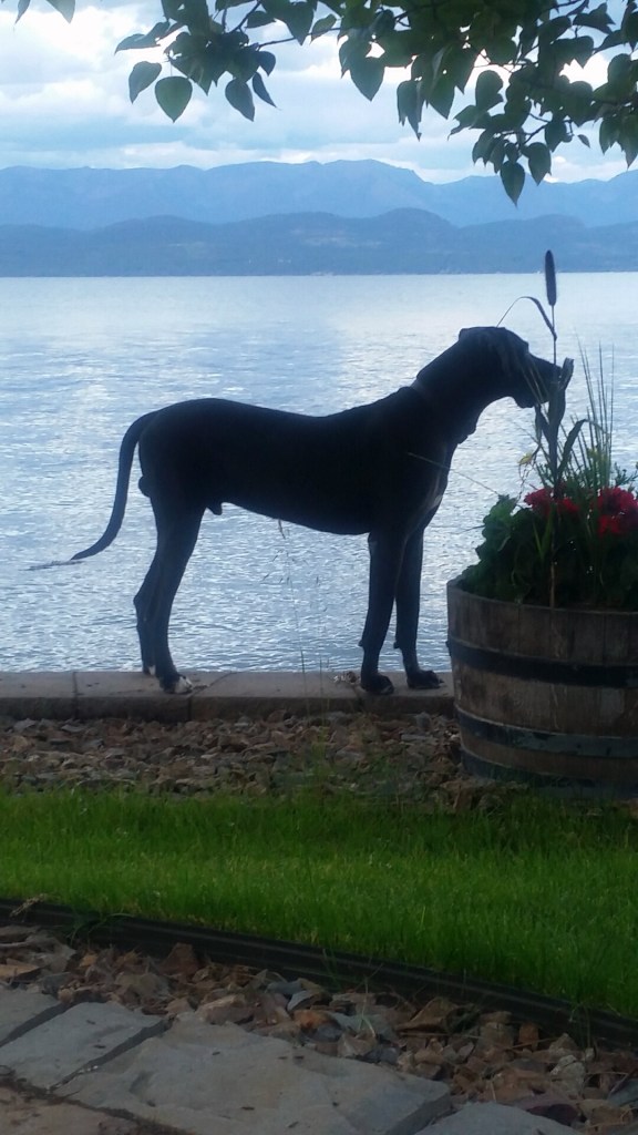 Snapchat-851439768033648112