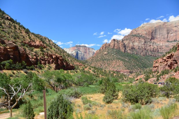 zion national park