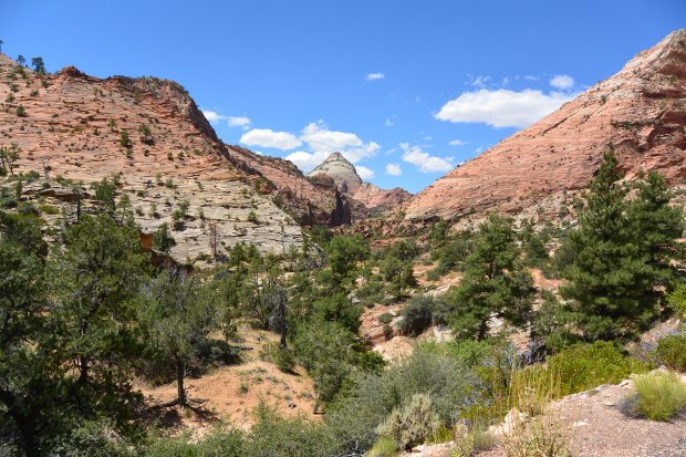 zion national park